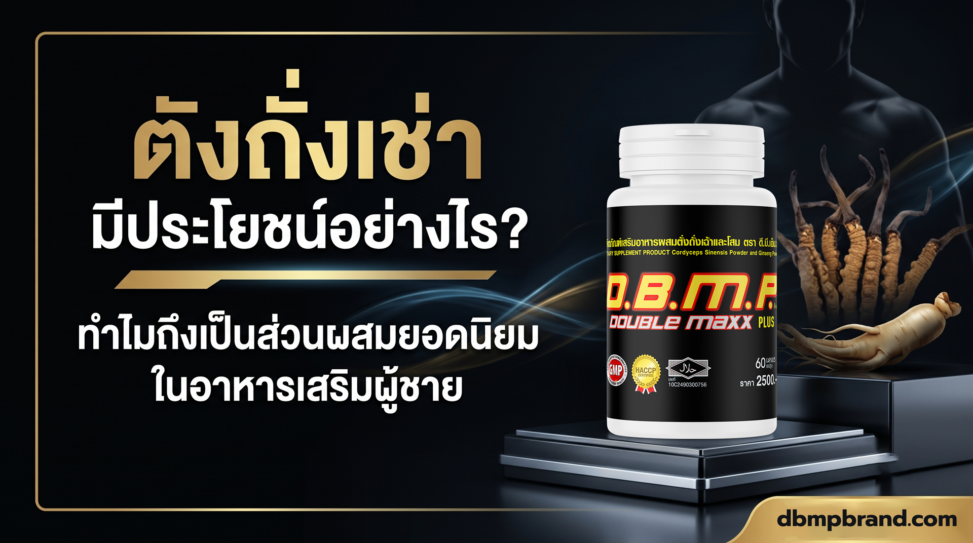 ตังถั่งเช่า มีประโยชน์อย่างไร? ทำไมถึงเป็นส่วนผสมยอดนิยมในอาหารเสริมผู้ชาย